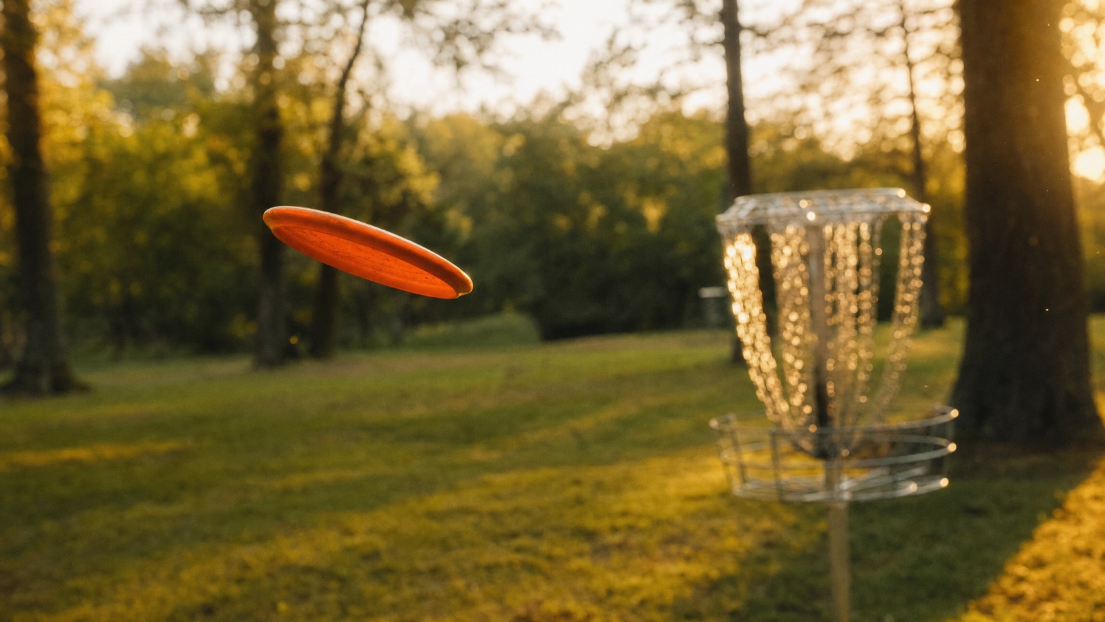 An orange disc gliding toward a chain basket at golden hour